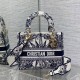 디올 미디엄 레이디 디 라이트 백 M0565ORVX M933