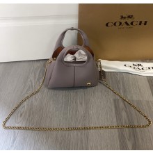 코치 라나 19 숄더백 CCY33